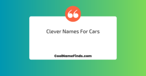 Clever Names for Cars