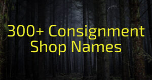 300+ Consignment Shop Names