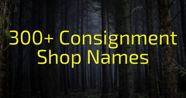 300 Consignment Shop Names 768x403 