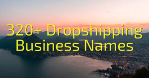 320+ Dropshipping Business Names