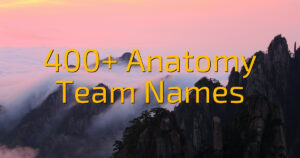 400+ Anatomy Team Names