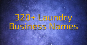 320+ Laundry Business Names
