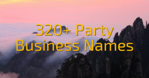 320+ Party Business Names