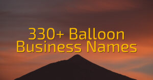 330+ Balloon Business Names