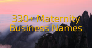 330+ Maternity Business Names