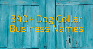 340+ Dog Collar Business Names