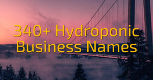 340+ Hydroponic Business Names