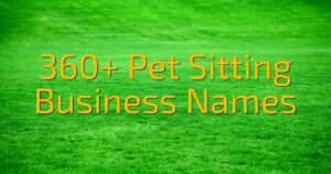 360+ Pet Sitting Business Names