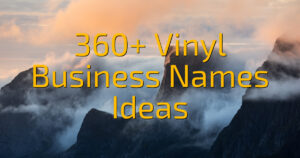 360+ Vinyl Business Names Ideas