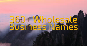 360+ Wholesale Business Names