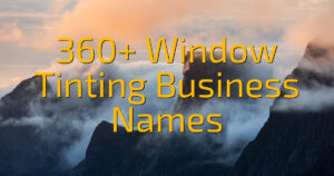 360+ Window Tinting Business Names