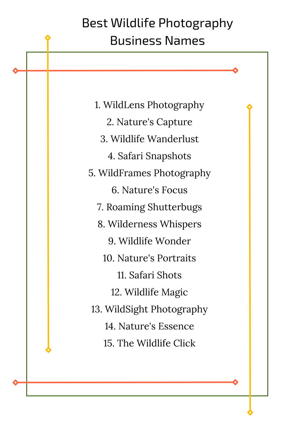 Best Wildlife Photography Business Names