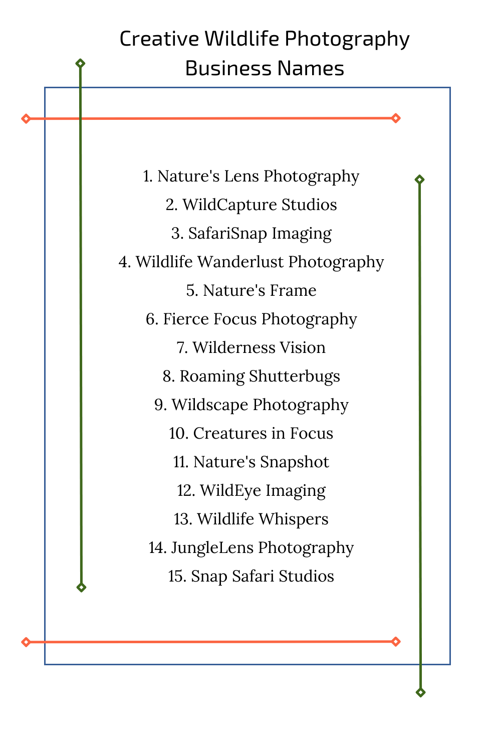 Creative Wildlife Photography Business Names